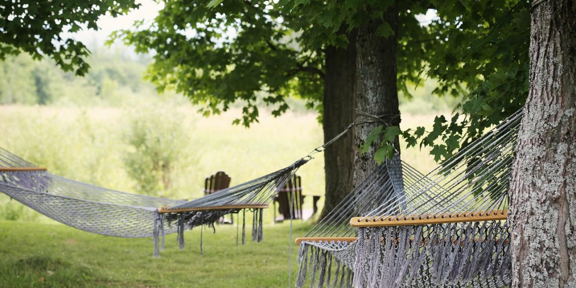 tree, hammocks, trees