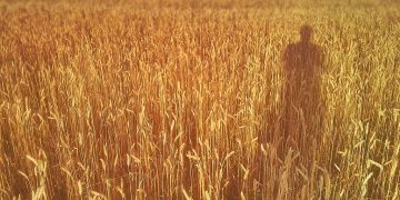 The Joy of Reading: Must-Read Books for Every Man